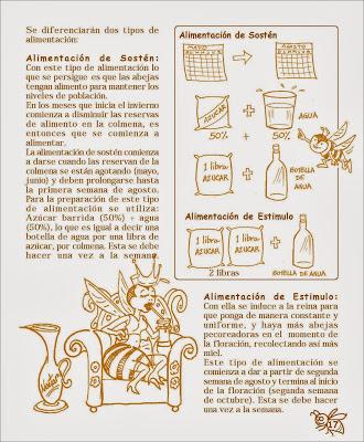 Manual Apícola Ilustrado - Beekeeping Illustrated Manual.