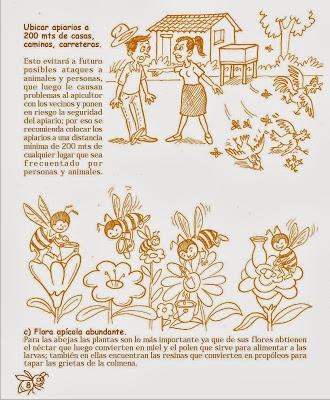 Manual Apícola Ilustrado - Beekeeping Illustrated Manual.