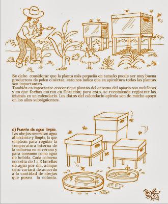 Manual Apícola Ilustrado - Beekeeping Illustrated Manual.