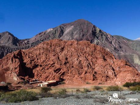 Purmamarca y el Paseo de los Colorados img_0196