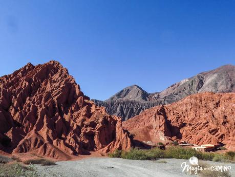 Purmamarca y el Paseo de los Colorados img_0197