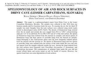 Espeleomicología en una cueva de Eslovaquia