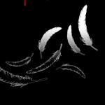 Miguel Borgas: Alas de venganza