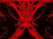 Sitges 2016: Blair Witch