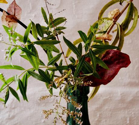 CÓMO HACER UN IKEBANA OTOÑAL CÓMO HACER UN IKEBANA OTOÑAL