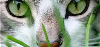 Taller de Creación Literaria Don Chico...