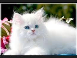 Taller de Creación Literaria Don Chico...