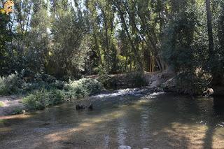 Hoces del Río Duratón y alrededores (Sepúlveda y Pedraza)