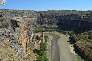 Hoces del Río Duratón y alrededores (Sepúlveda y Pedraza)