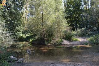 Hoces del Río Duratón y alrededores (Sepúlveda y Pedraza)