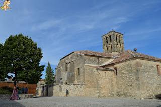 Hoces del Río Duratón y alrededores (Sepúlveda y Pedraza)