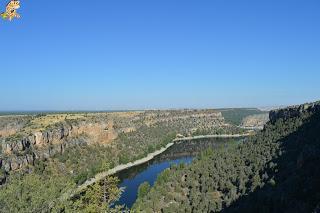 Hoces del Río Duratón y alrededores (Sepúlveda y Pedraza)