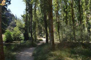 Hoces del Río Duratón y alrededores (Sepúlveda y Pedraza)