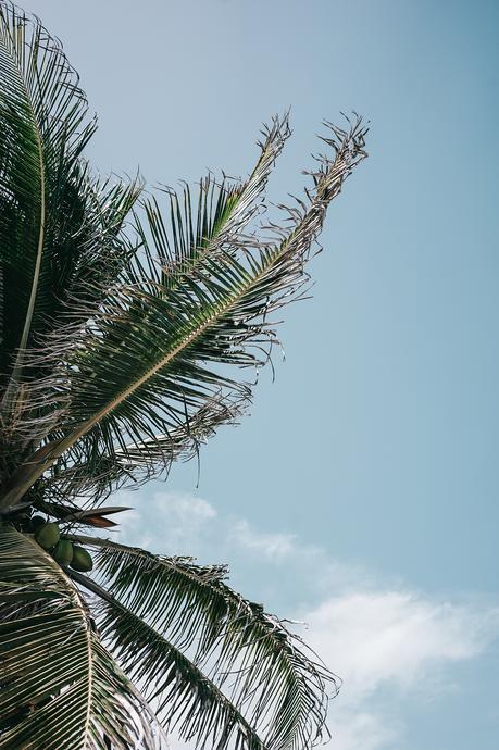 stripped_dress-leather_backpack-suede_espadrilles-mayan_ruins-hotel_esencia-sanara_tulum-beach-mexico-outfit-collage_vintage-95