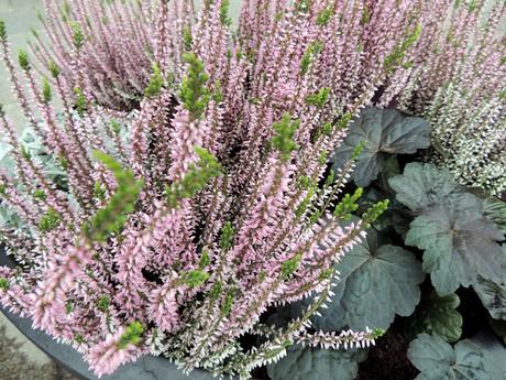 STOCKHOLM OCTOBER 2016