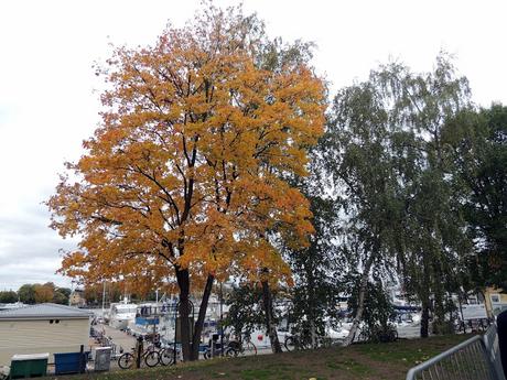 STOCKHOLM OCTOBER 2016