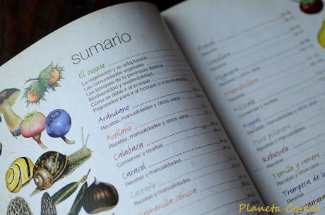 Recetas libro