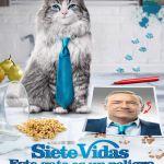 Siete vidas: Este gato es un peligro, sosa película familiar