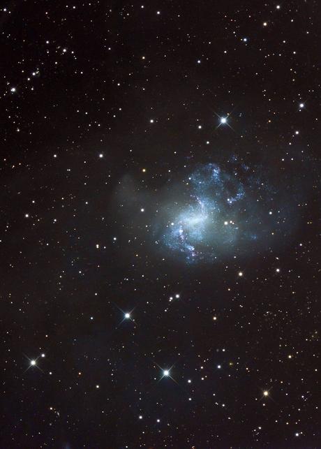 ✨La galaxia espiral NGC 1313