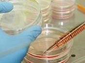 Avances. Conferencia internacional promueve Israel como líder investigación esclerosis múltiple