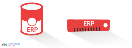 Software enlatado vs a medida