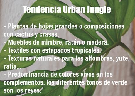 ¿DECORAR CON PLANTAS O UNA TENDENCIA LLAMADA URBAN JUNGLE?