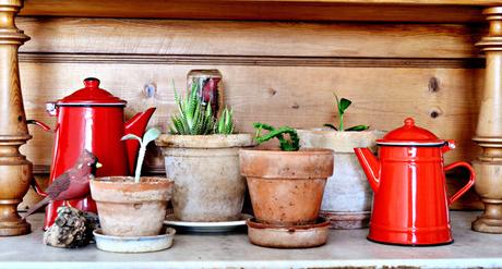 ¿DECORAR CON PLANTAS O UNA TENDENCIA LLAMADA URBAN JUNGLE?