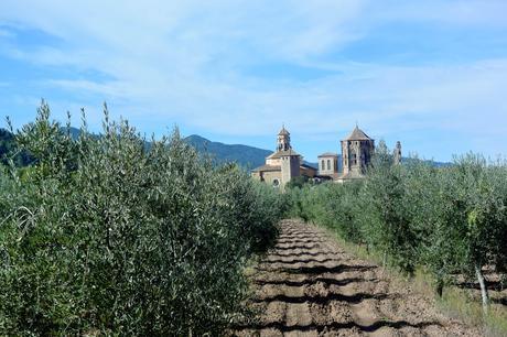 De aventura por la Conca de Barberá