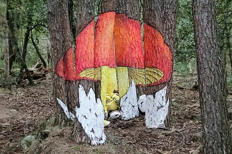 De aventura por la Conca de Barberá