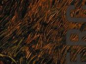 Cuentos inquietantes