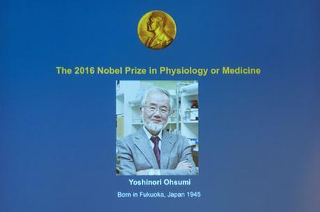 Premios Nobel en Ciencia 2016