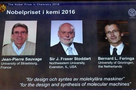 Premios Nobel en Ciencia 2016