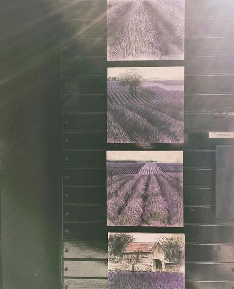 MÁS NOVEDADES EN A-CERO IN a-cero-in