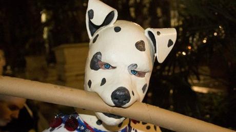 “Siempre supe que tenía gustos extravagantes en cuanto al sexo”: el curioso mundo de los humanos que se comportan como perros