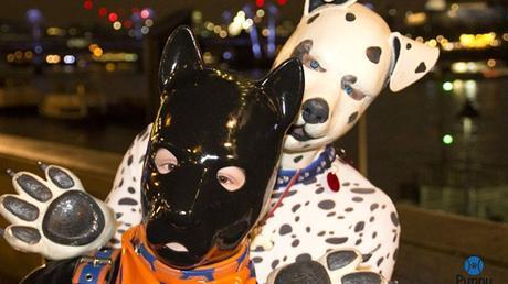 “Siempre supe que tenía gustos extravagantes en cuanto al sexo”: el curioso mundo de los humanos que se comportan como perros 160527094040_humanpups2_640x360_puppypride_nocredit