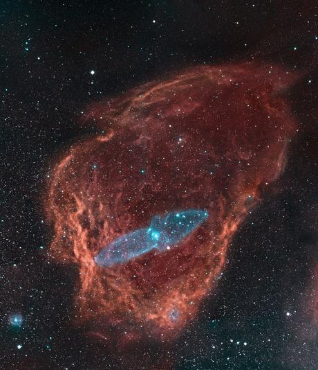 ✨Un calamar en la concha de una ostra ✨Un calamar en la concha de una ostra