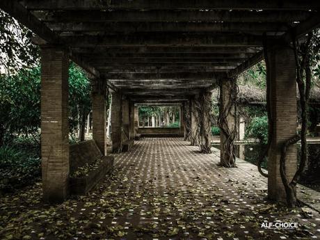 Pergolas en la ciudad