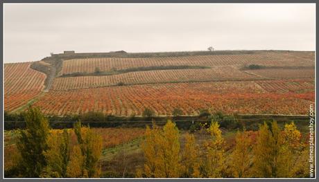  Briñas La Rioja