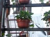 Actividades Eespeciales #FIL16 CDMX