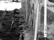 Momentos obra jardín