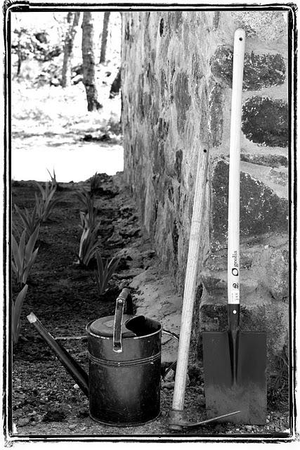 Momentos en la obra del jardín