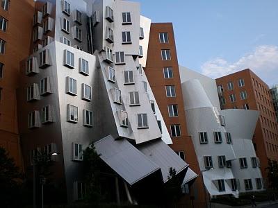 POLÍTICA COGNITIVA: O CÓMO LAS METÁFORAS CREAN PARADOS