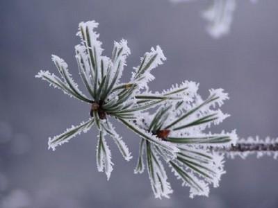 Escuela de Invierno 2011