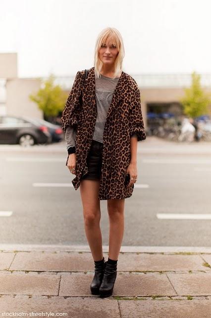 ANIMAL PRINT, SIGUE ENAMORANDO