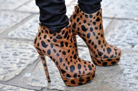 ANIMAL PRINT, SIGUE ENAMORANDO