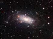 3621: galaxia inusual Hydra