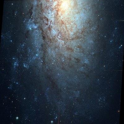 NGC 3621: Una galaxia inusual en Hydra