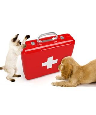 FARMACIOLA DE PRIMERS AUXILIS