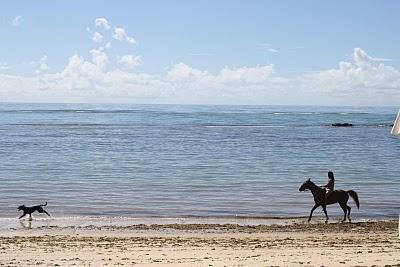 Sin palabras II Sin palabras II