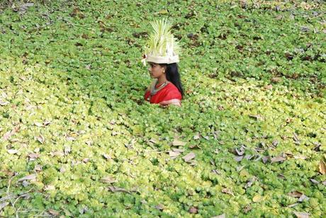 Especial Festival de Rotterdam: Los nuevos 'indie-babies' nacen en Holanda